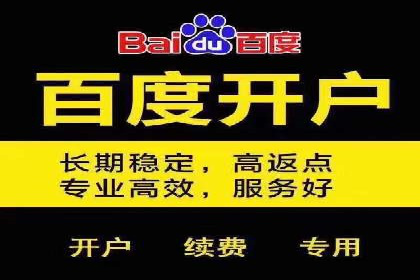 某电商平台的SEM运营托管全记录